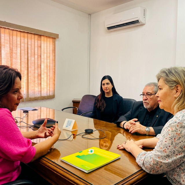 Reunión institucional